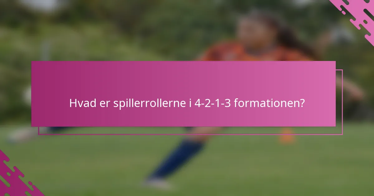 Hvad er spillerrollerne i 4-2-1-3 formationen?