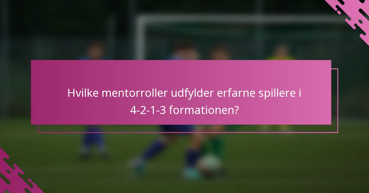 Hvilke mentorroller udfylder erfarne spillere i 4-2-1-3 formationen?